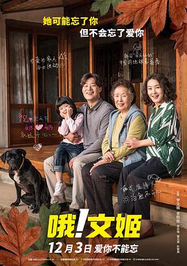 91高清视频免费看