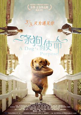 小早川玲子在线播放