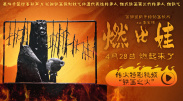 国外精品视频在线观看免费