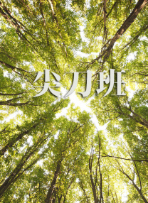 美女毛片一区二区三区四区