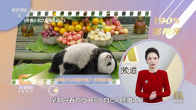 福利500精品导航大全